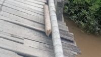 IMG-20260910-WA0115